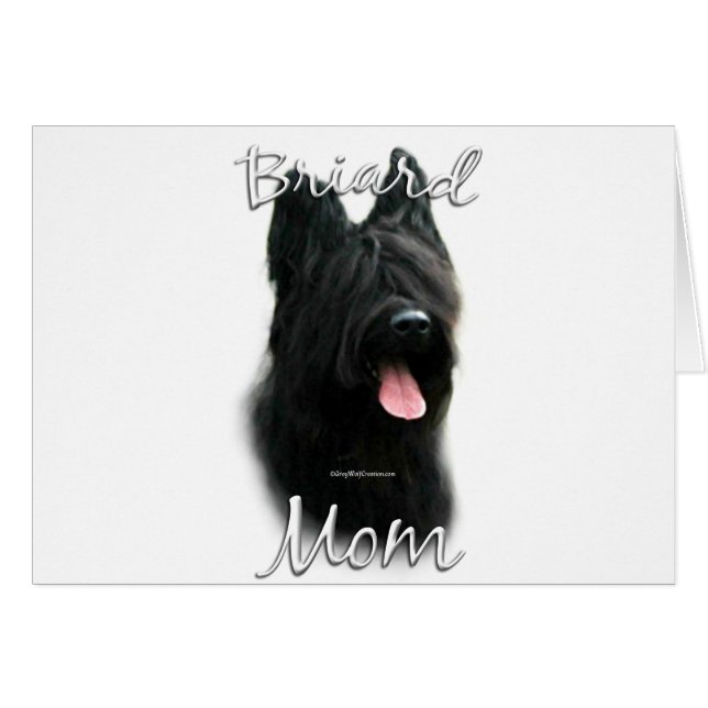 Briard maman 2 (Devant horizontal)