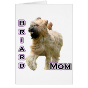 Briard Maman 4