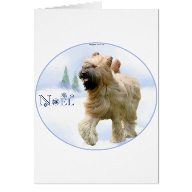 Briard Noel (Front)