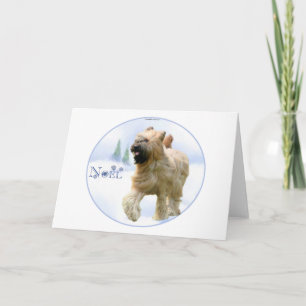 Briard Noel Holiday Card