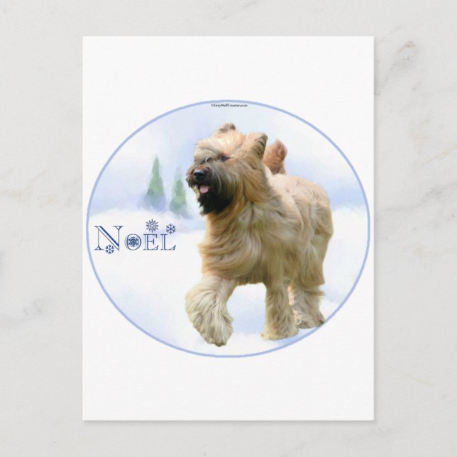 Briard Noel Holiday Postcard (Front)