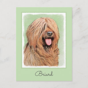Briard Painting - Cute Original Dog Art Postcard