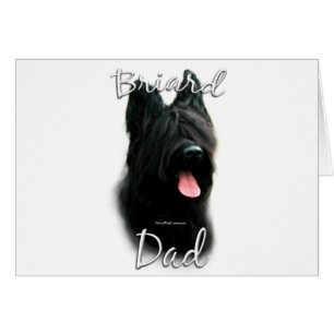 Briard papa 2