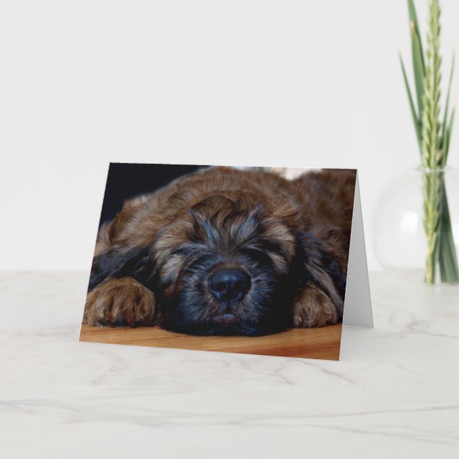 briard puppy card (Front)