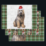 Briard Shepherd Christmas Dog Green Plaid Wrapping Paper Sheet<br><div class="desc">An adorable Briard Shepherd dog is ready for the holiday season with his Santa hat. This cute Christmas dog is paired with a green and red holiday plaid on this set of gift wrap for the dog lover.</div>
