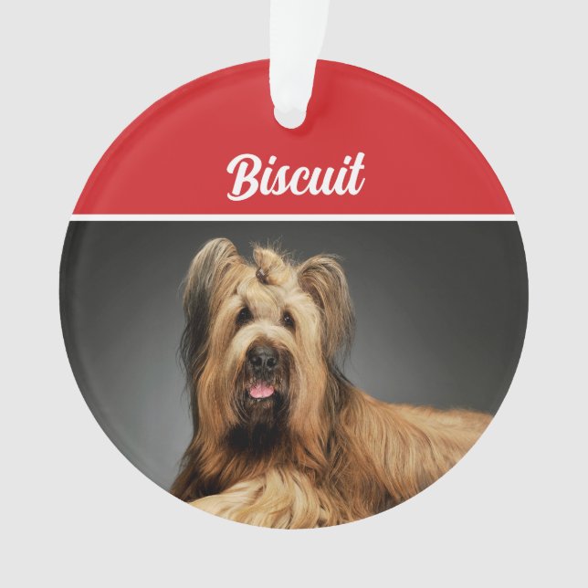 Briard Shepherd Dog Holiday Photo Christmas Ornament (Front)