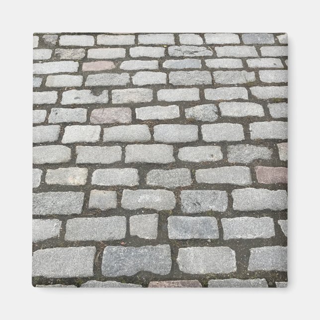 Brick Cobblestone Street Pathway Nature Photograph Magnet (Front)