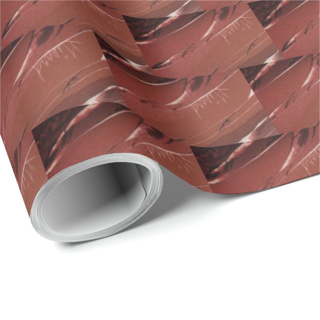 Brick Colours Wrapping Paper (Roll Corner)