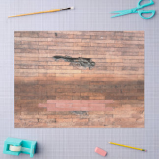 Brick in the Wall  Tissue Paper