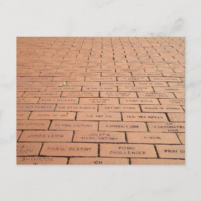 Brick path postcard (Front)