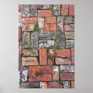 Brick Sidewalk, Apalachicola, Florida Poster