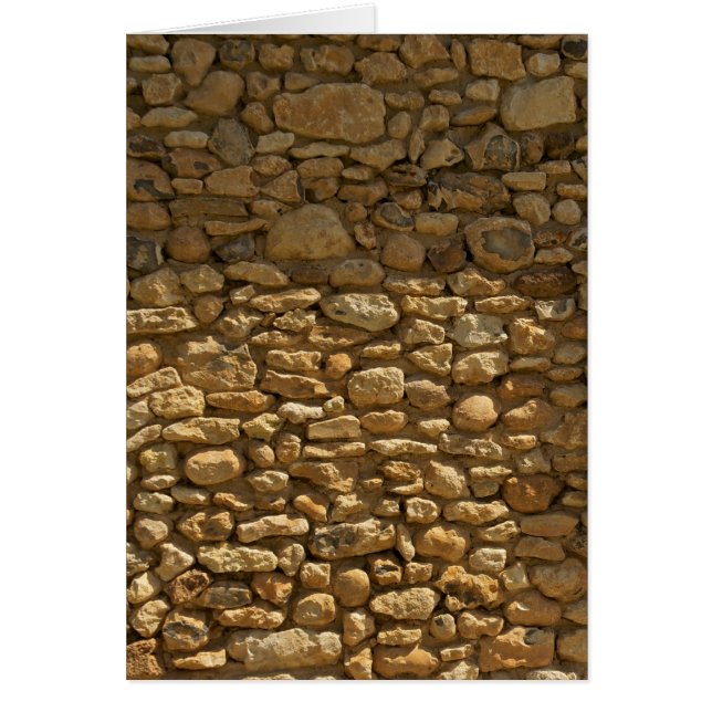 Brick Wall Background (Front)