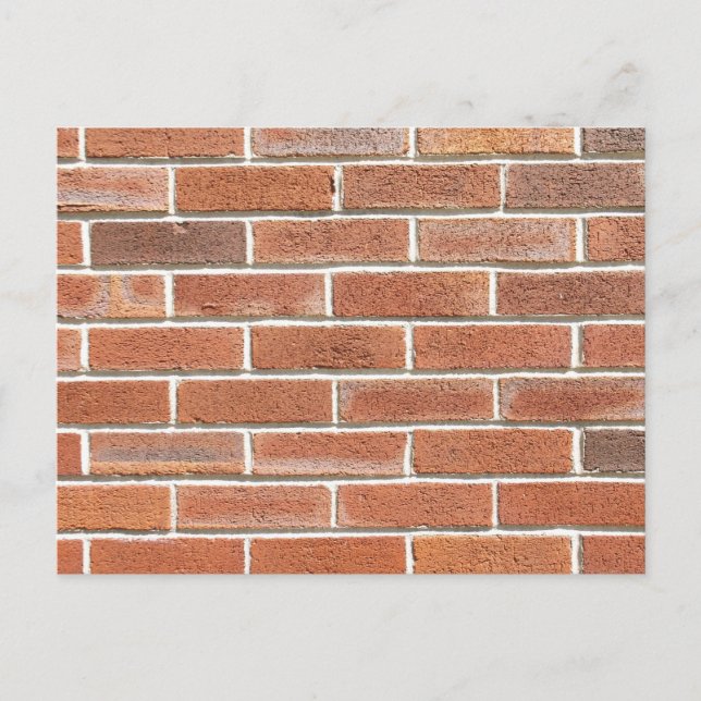 Brick Wall Postcard (Front)