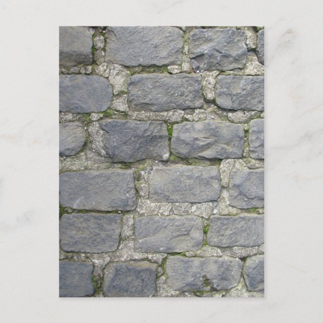 Brick Wall postcard, customize Postcard (Front)