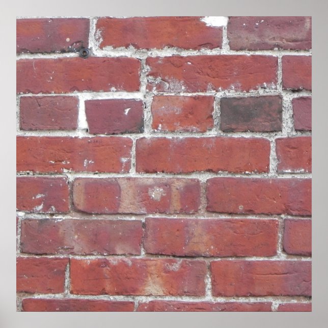 BRICK WALL POSTER... POSTER (Front)
