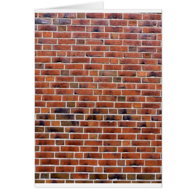 Brick wall with joints (Devant)