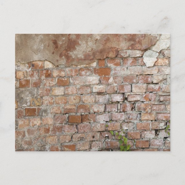 Bricks old wall postcard (Front)