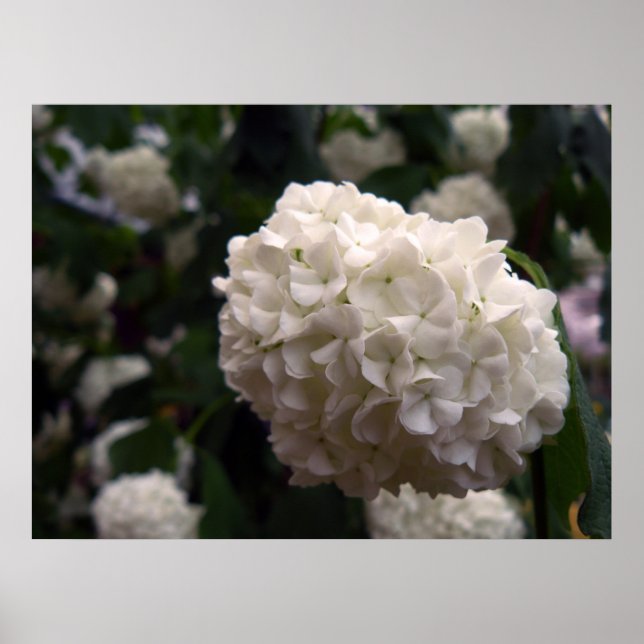 Bridal Flower Poster (Front)