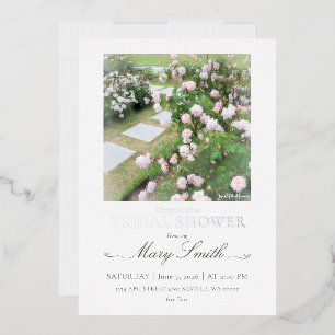 Bridal Shower (Rosa White Cécille Brunner)