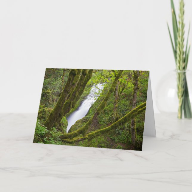 Bridal Veil Falls Card (Front)