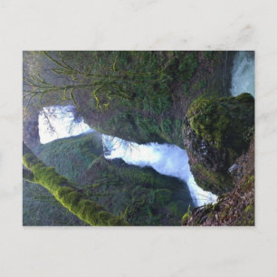 Bridal Veil Falls, Oregon Postcard