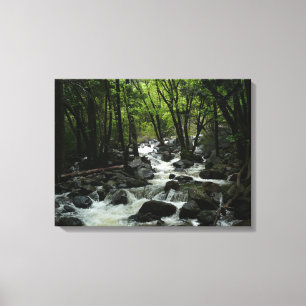 Bridalveil Creek in Yosemite National Park Canvas Print
