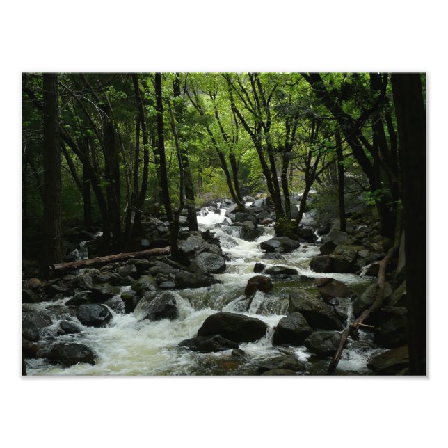 Bridalveil Creek in Yosemite National Park Photo Print (Front)