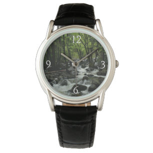 Bridalveil Creek in Yosemite National Park Watch