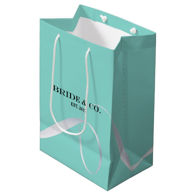 Bride and Celebration Shower Party Medium Gift Bag (Front Angled)