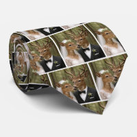 Bride and Groom Deer In a Forest
