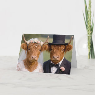 Bride and Groom Highland Cows Card