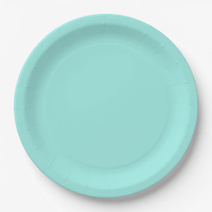 Bride & Co. Bridal Shower Turquoise Paper Plate