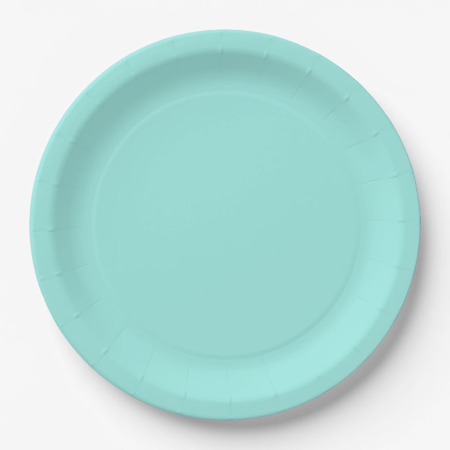 Bride & Co. Bridal Shower Turquoise Paper Plate (Front)