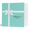 BRIDE Teal Shower Kitchen Party Photo Recipe