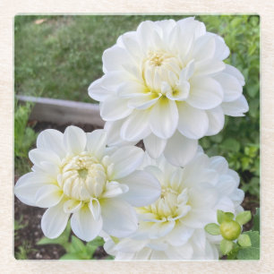 Bride to Be Dahlia Coaster, White Flower Glass Coaster