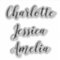 Bridesmaids Names Personalized Vinyl Decal Sticker