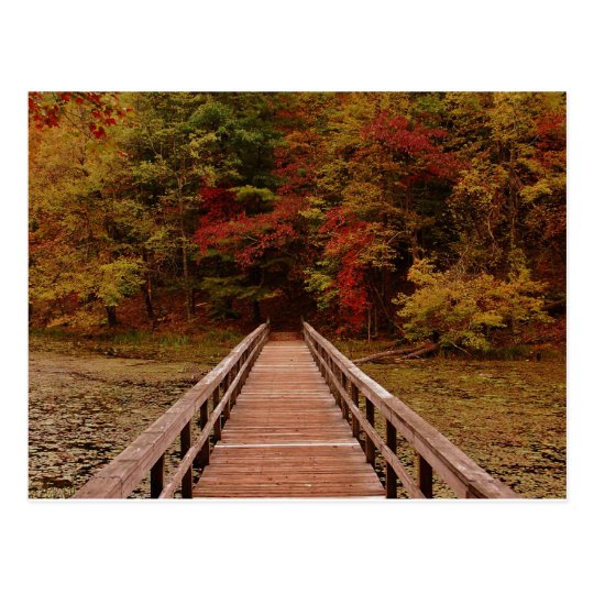 Bridge at Bays Mounatin Postcard