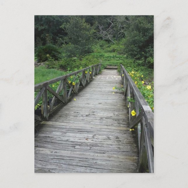 Bridge at Bellingrath Gardens Postcard (Front)