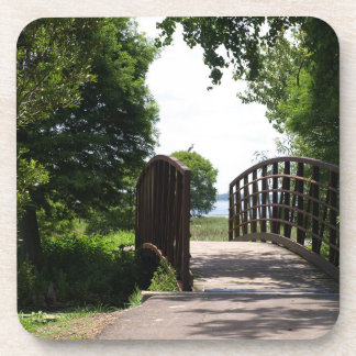 Bridge at Lake Parker in Lakeland photo  Coaster