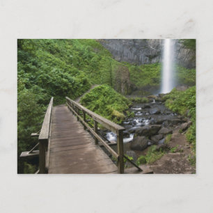 Bridge at Latourell Falls, Columbia River Gorge, Postcard