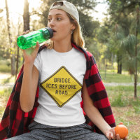 Bridge Ices Before Road Sign Winter Safety