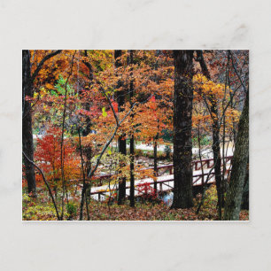 Bridge in Autumn with Fall Tree Leaves / Scenic Postcard