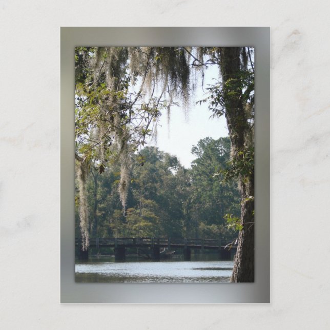 Bridge in the Swamps Postcard (Front)