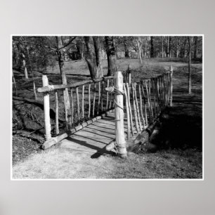 Bridge of Branches Poster