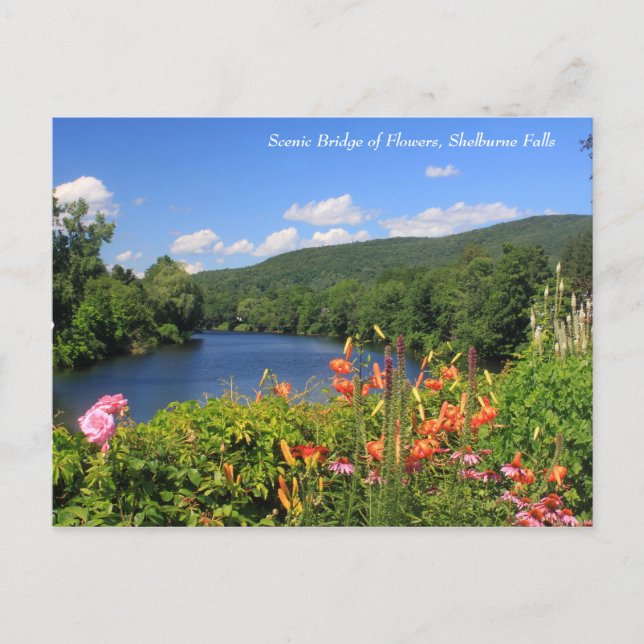 Bridge of Flowers, Shelburne Falls Postcard (Front)