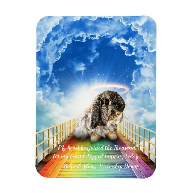 Bridge of Many Colours Magnet (Vertical)