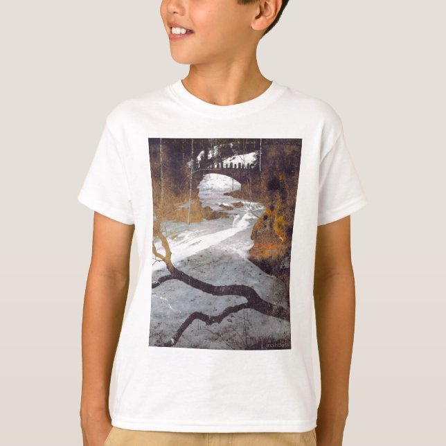 Bridge Over a Frozen Stream by Alexandra Cook T-Shirt (Front)