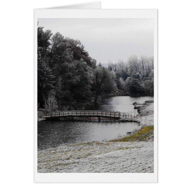 Bridge over icy water (Front)