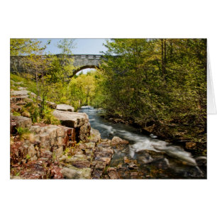 Bridge Over River