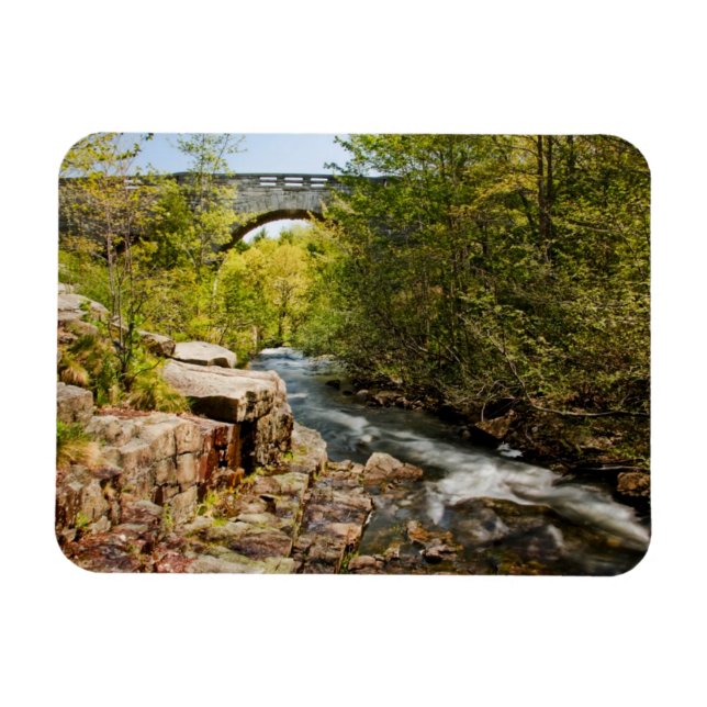 Bridge Over River Magnet (Horizontal)